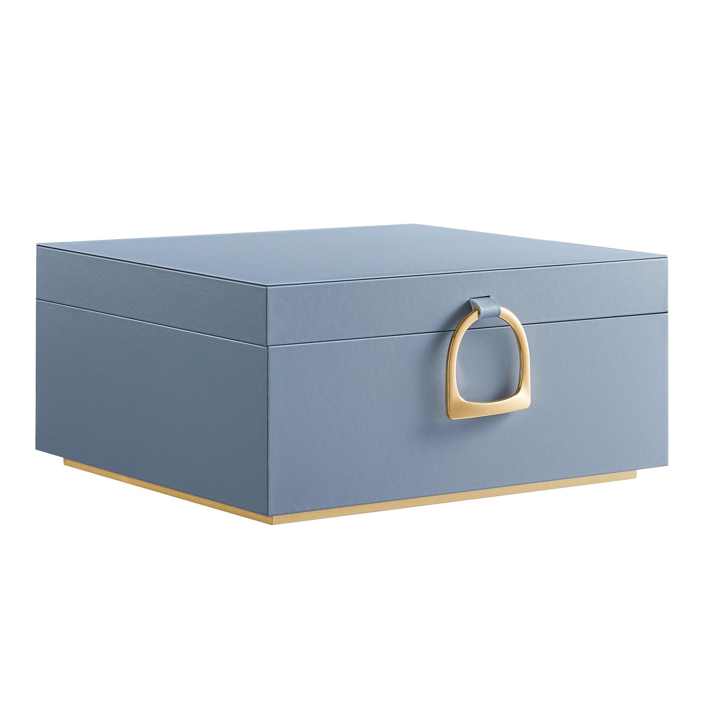 SONGMICS 2-Layer Jewelry Box, Jewelry Organizer with Handle, Removable Jewelry Tray, Jewelry Storage, Floating Effect, 8.1 x 9.4 x 4.3 Inches, Christmas Gift, Forest Green UJBC165C01