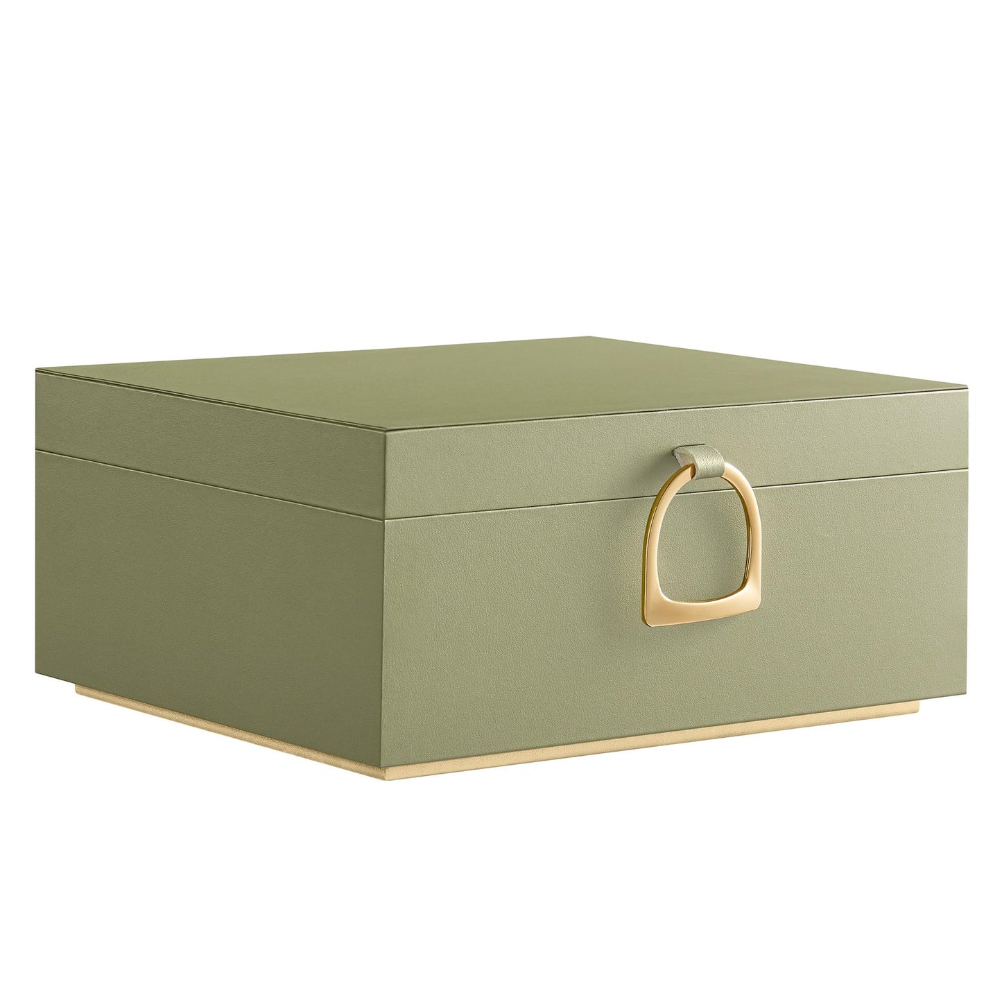 SONGMICS 2-Layer Jewelry Box, Jewelry Organizer with Handle, Removable Jewelry Tray, Jewelry Storage, Floating Effect, 8.1 x 9.4 x 4.3 Inches, Christmas Gift, Forest Green UJBC165C01